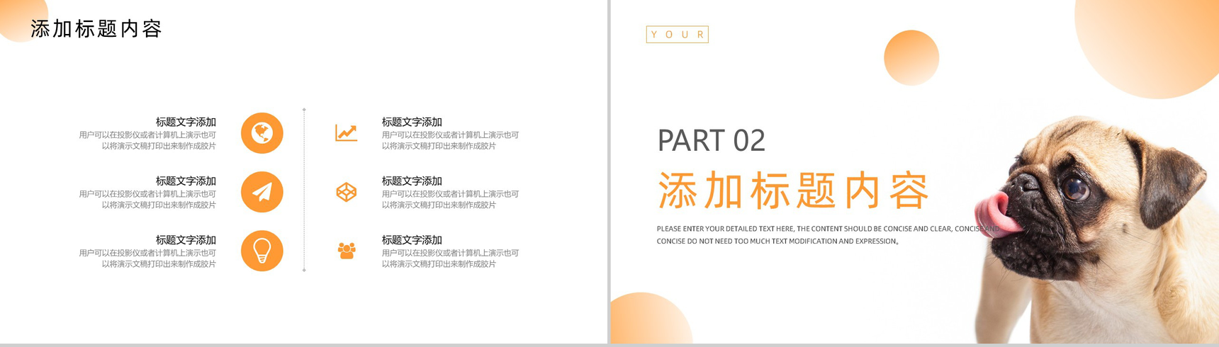 简约橙色宠物医院介绍PPT模板-4