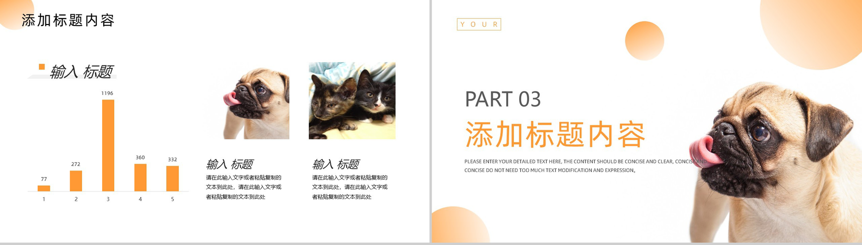 简约橙色宠物医院介绍PPT模板-6