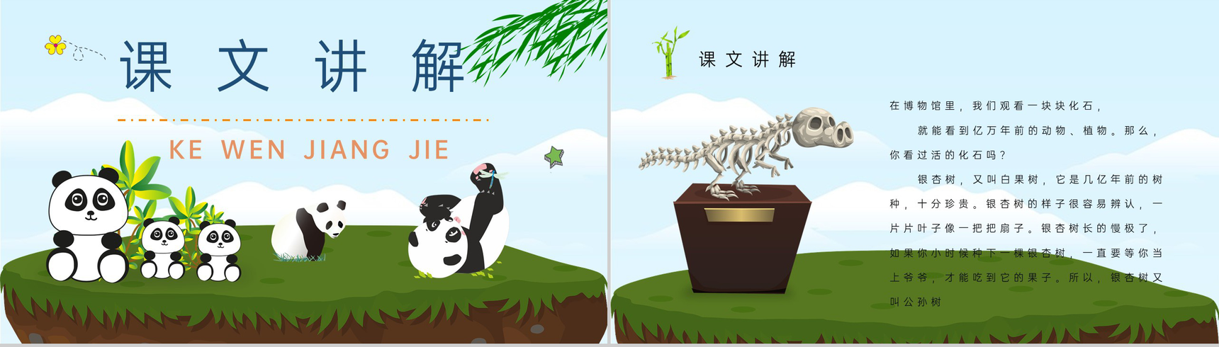 小学语文二年级上册课件重点难点《活化石》课后习题PPT模板-6