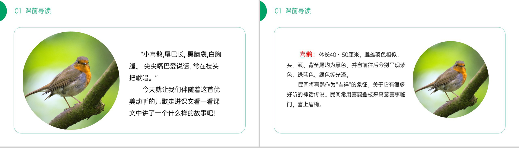 《枫树上的喜鹊》小学二年级语文下册精品PPT课件(第4.2课时)-2