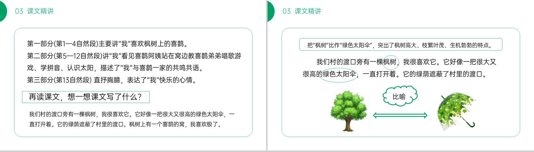 《枫树上的喜鹊》小学二年级语文下册精品PPT课件(第4.2课时)-10
