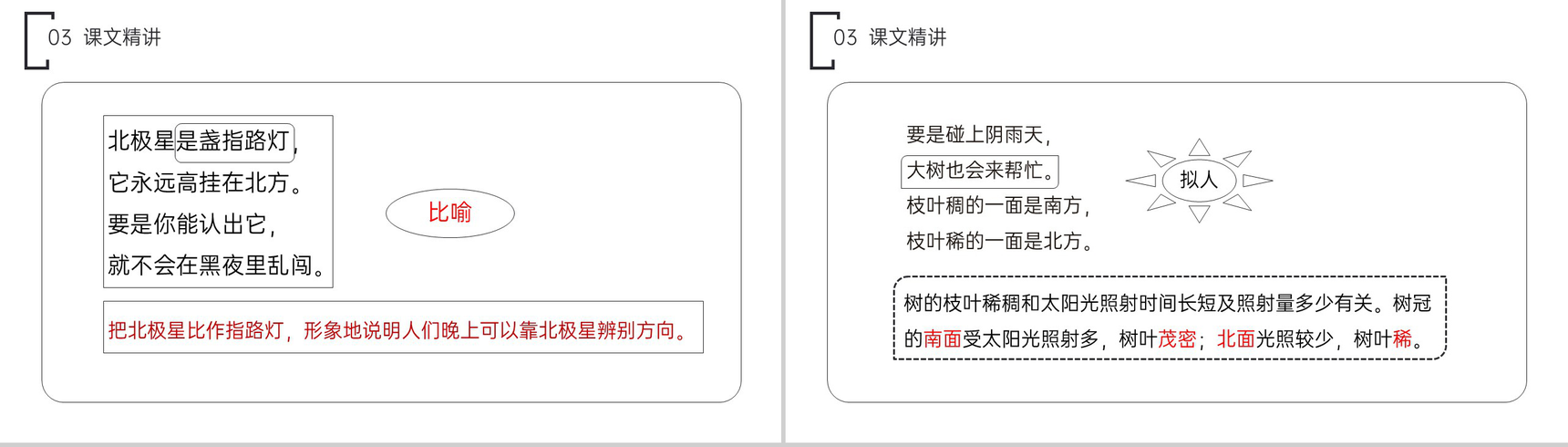 《要是你在野外迷了路》小学二年级语文下册精品PPT课件(第6.3课时)-11