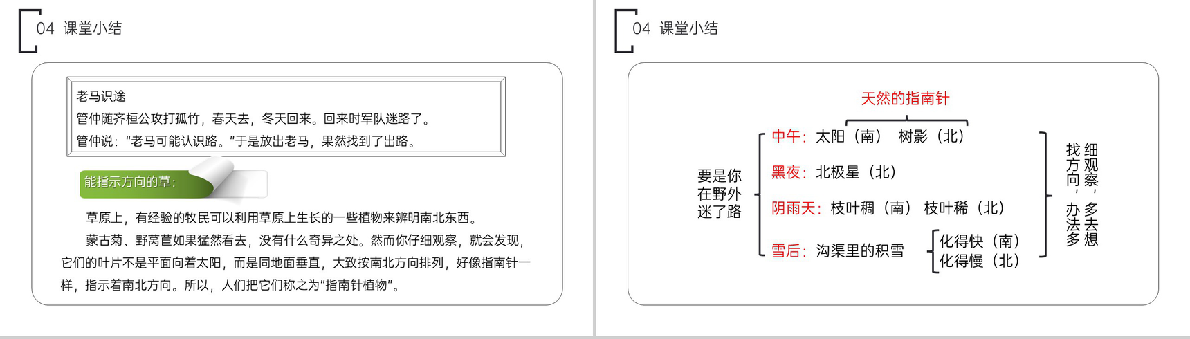 《要是你在野外迷了路》小学二年级语文下册精品PPT课件(第6.3课时)-14