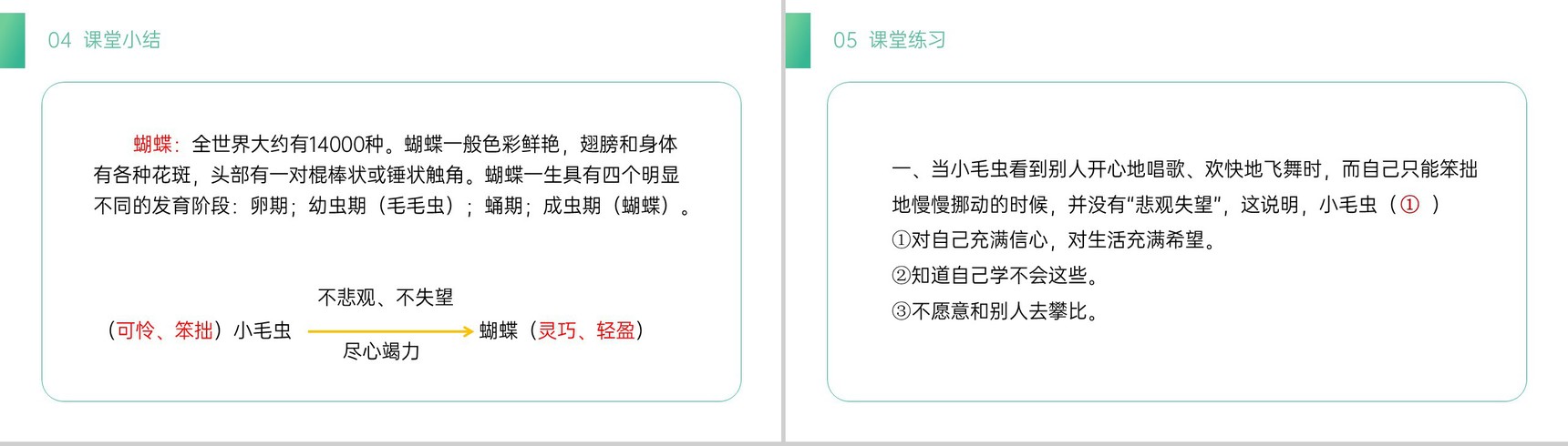 《小毛虫》小学二年级语文下册精品PPT课件(第7.4课时)-13