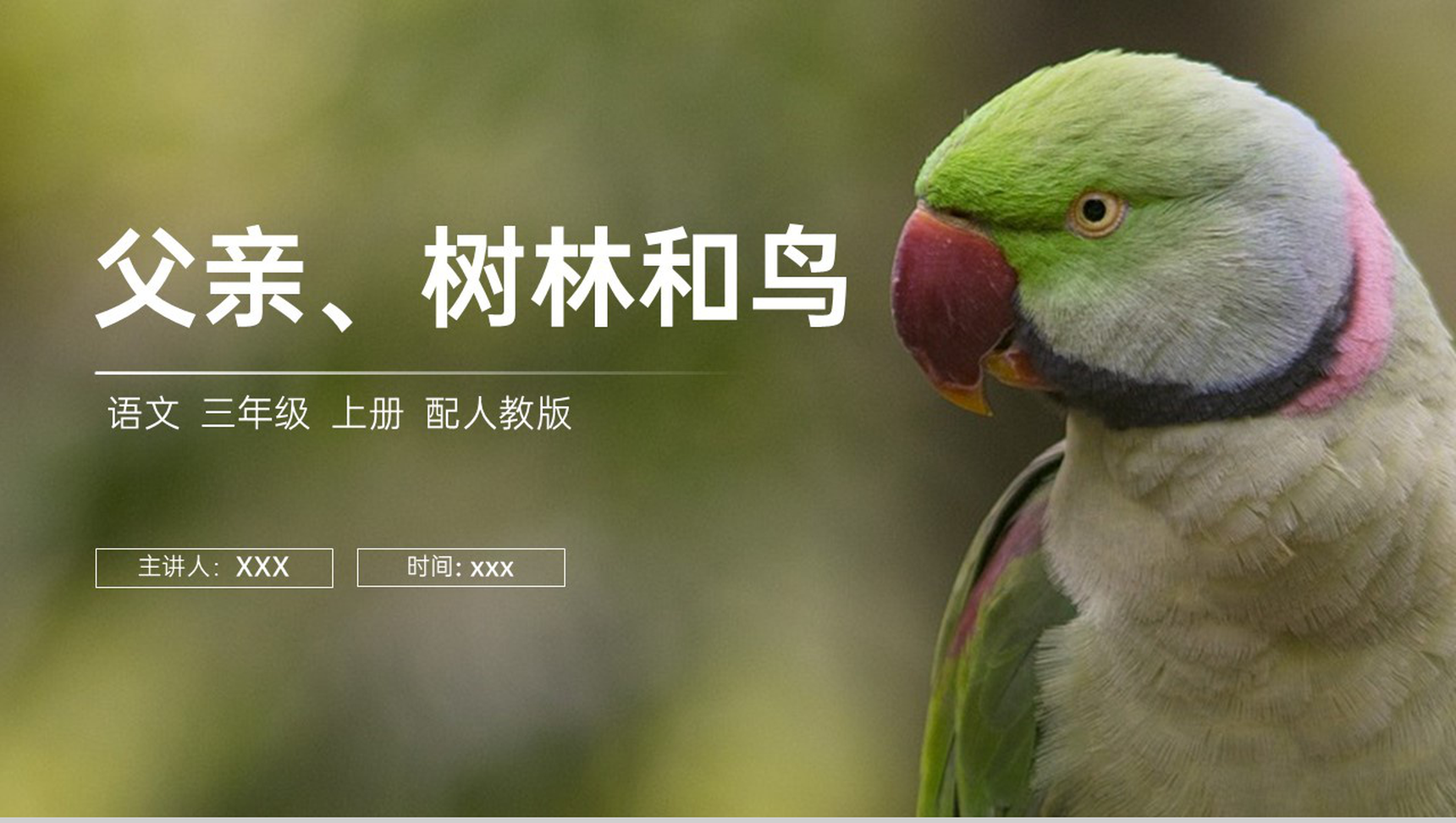 《父亲、树林和鸟》人教版三年级上册语文PPT课件-1