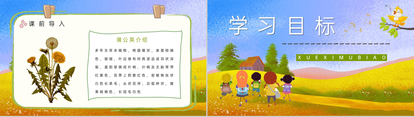 小学语文三年级上册《金色的草地》人教部编版课文导读知识点梳理PPT模板-3