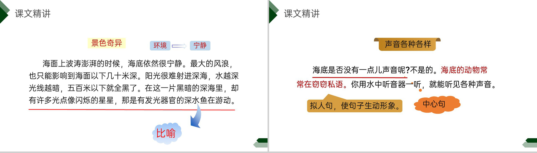 《海底世界》小学三年级语文下册第七单元精品PPT课件-13
