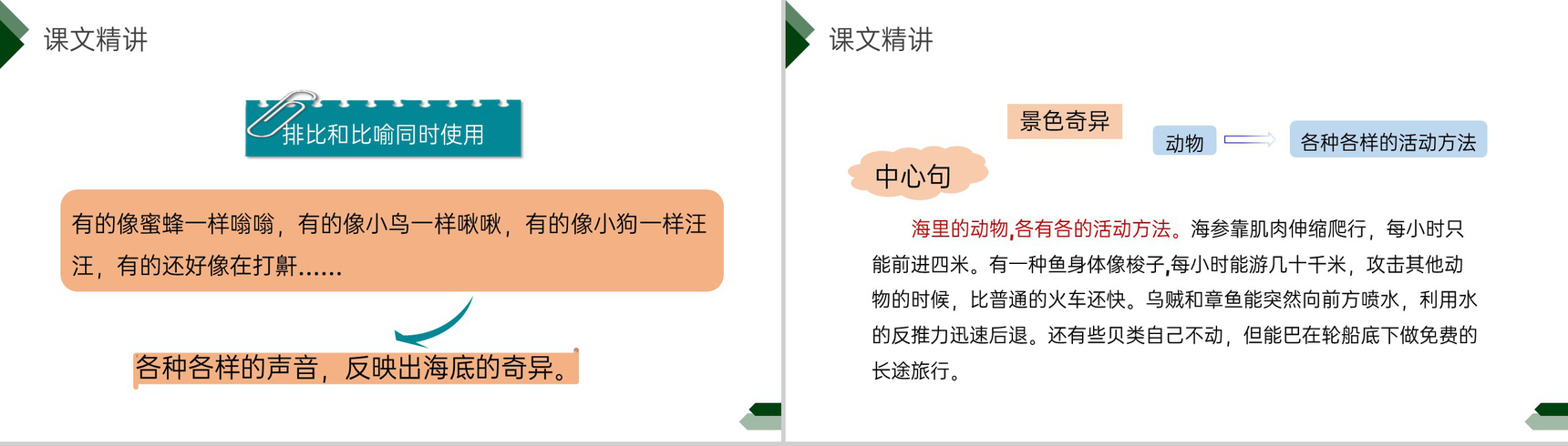 《海底世界》小学三年级语文下册第七单元精品PPT课件-14