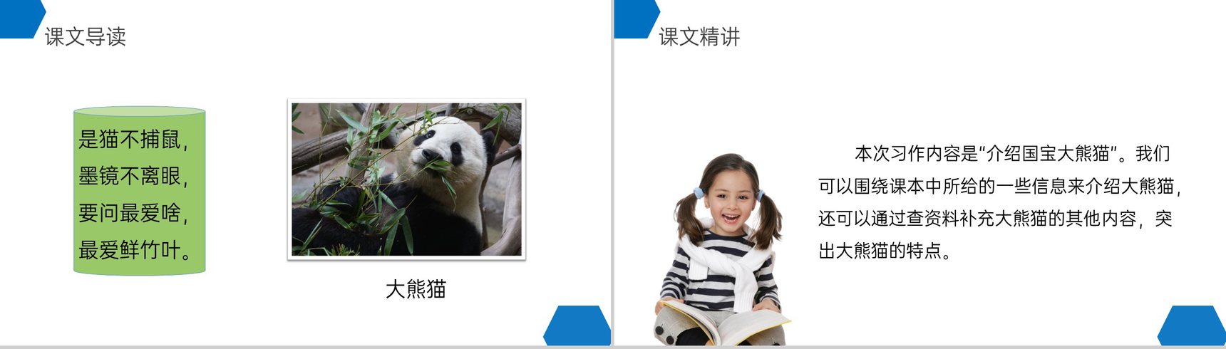 《国宝大熊猫》小学三年级语文下册第七单元精品PPT课件-2