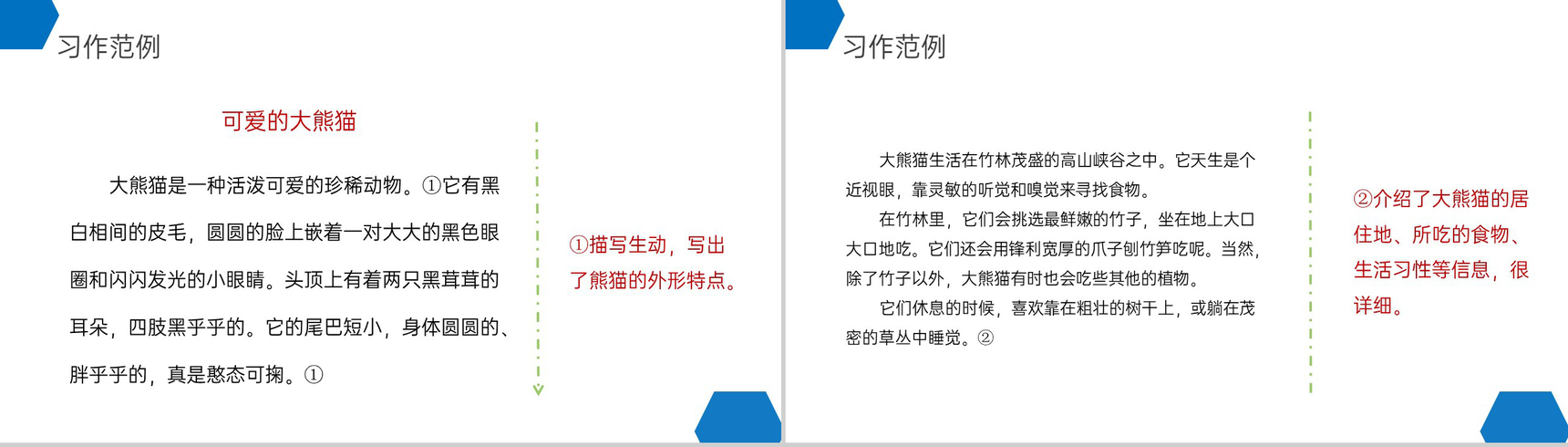 《国宝大熊猫》小学三年级语文下册第七单元精品PPT课件-8