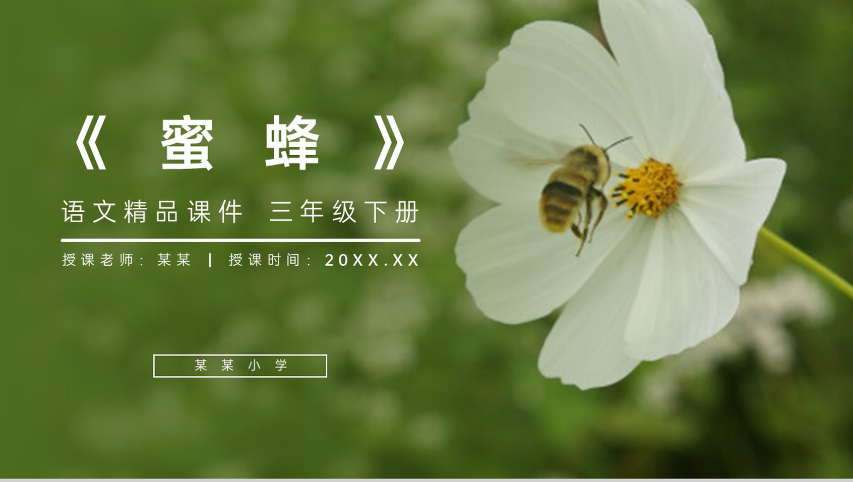 《蜜蜂》小学三年级语文下册第四单元精品PPT课件-1