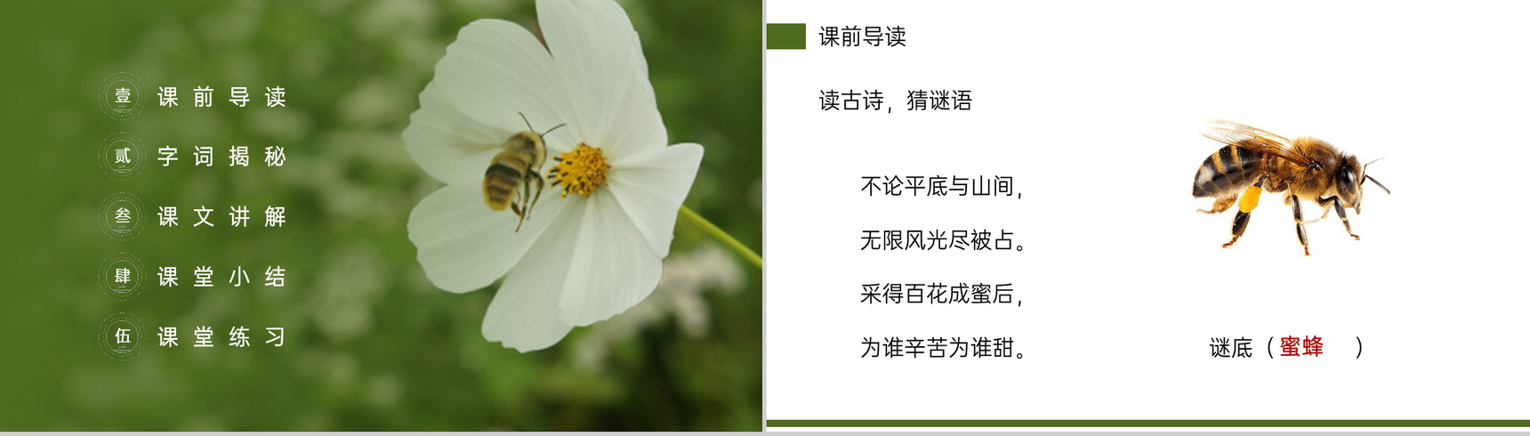 《蜜蜂》小学三年级语文下册第四单元精品PPT课件-2
