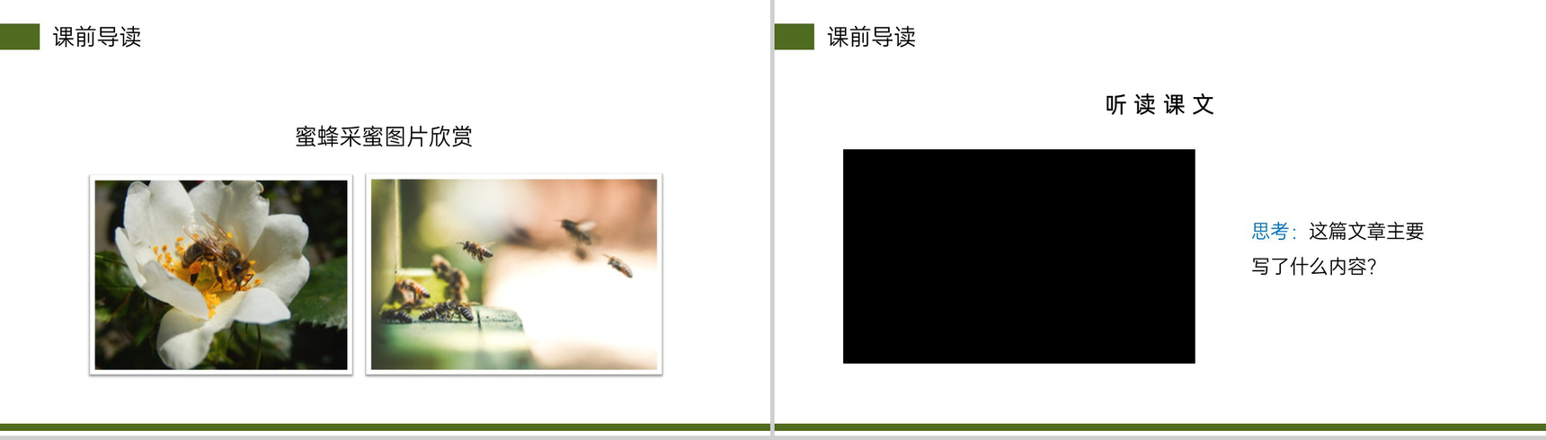 《蜜蜂》小学三年级语文下册第四单元精品PPT课件-3
