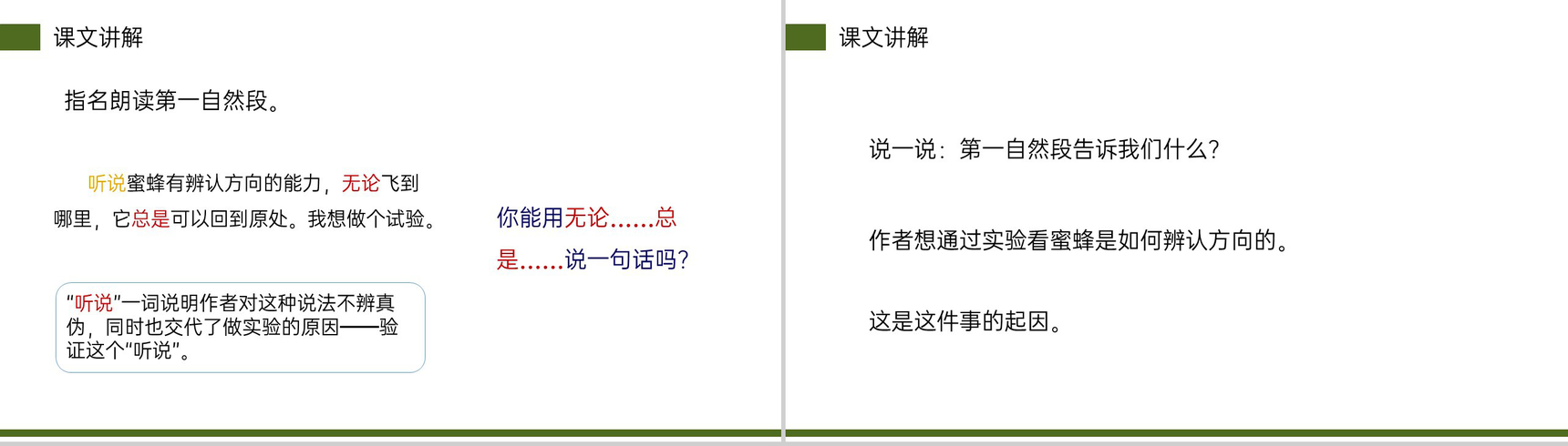 《蜜蜂》小学三年级语文下册第四单元精品PPT课件-12
