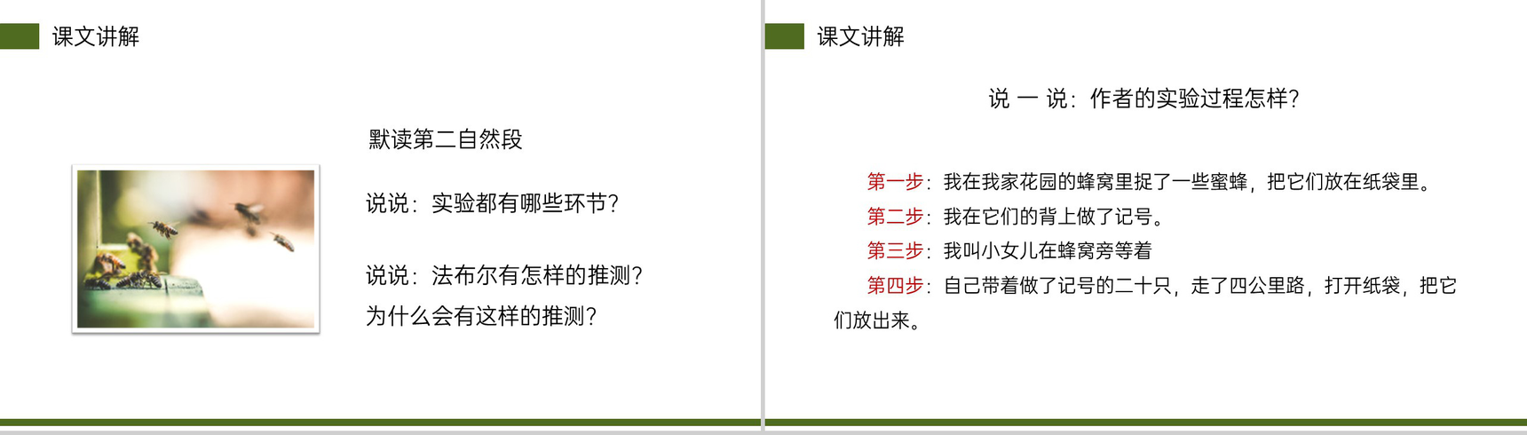 《蜜蜂》小学三年级语文下册第四单元精品PPT课件-13