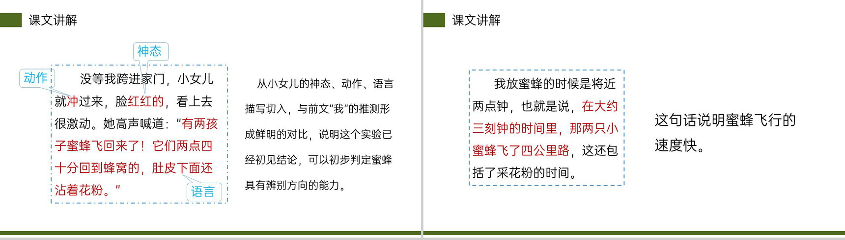 《蜜蜂》小学三年级语文下册第四单元精品PPT课件-15