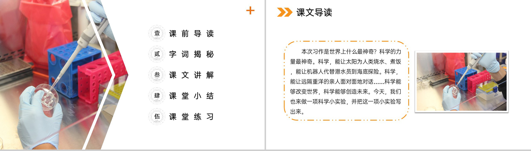 《习作 我做了一项小实验》小学三年级语文下册第四单元精品PPT课件-2