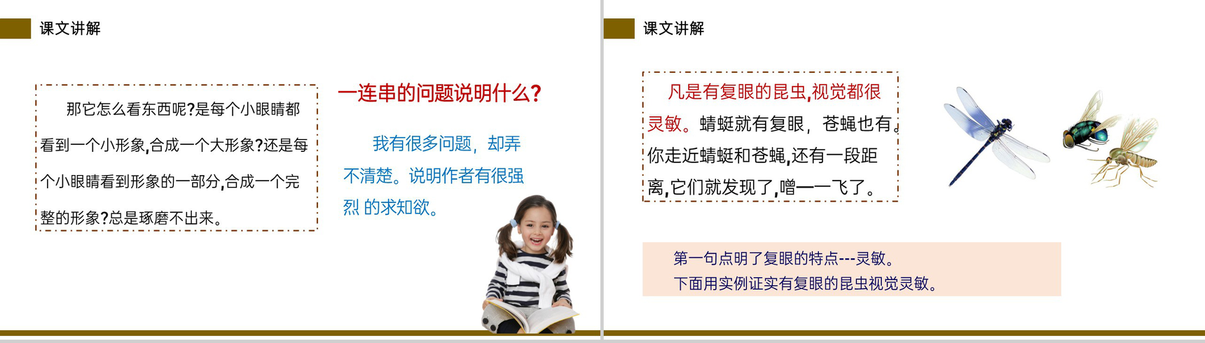 《昆虫备忘录》小学三年级语文下册第一单元精品PPT课件-9