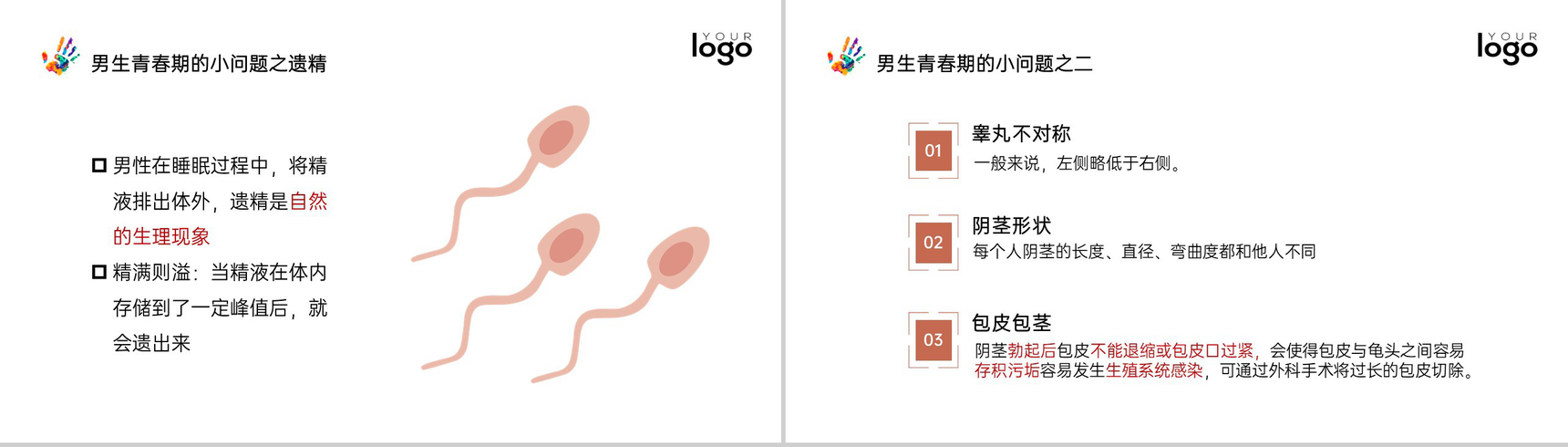红色简约风防治艾滋病世界艾滋病日教育班会PPT模板-8