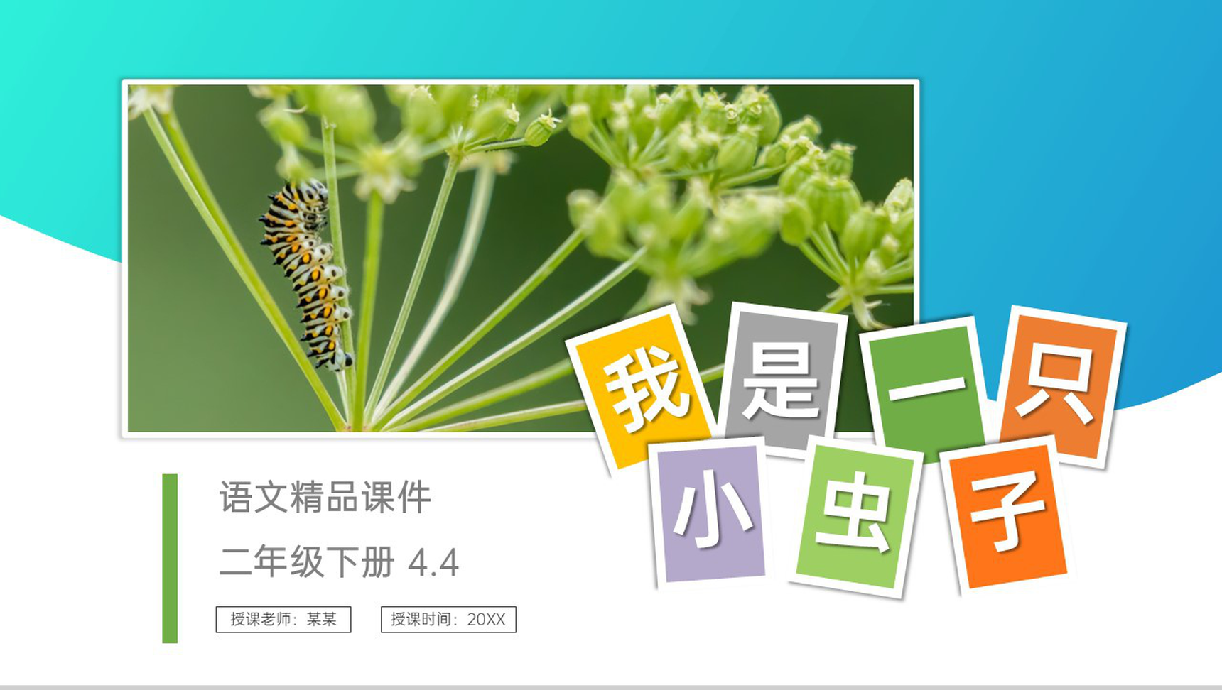 《我是一只小虫子》小学二年级语文下册精品PPT课件(第4.4课时)-1