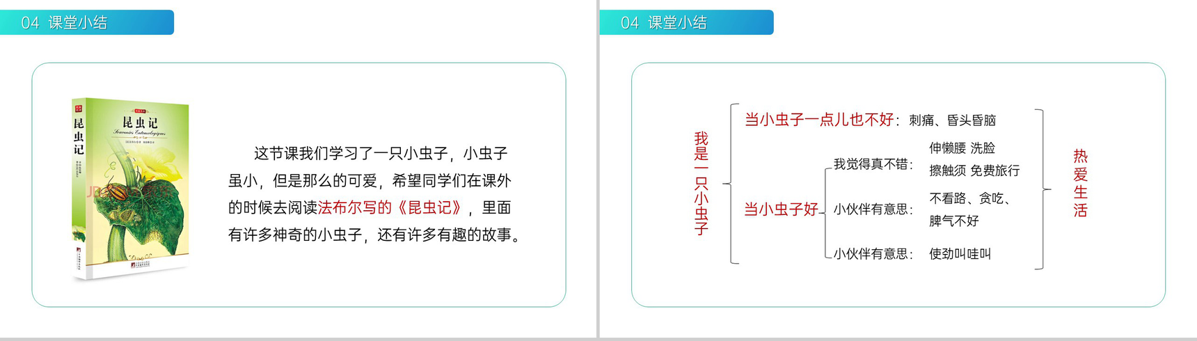 《我是一只小虫子》小学二年级语文下册精品PPT课件(第4.4课时)-14