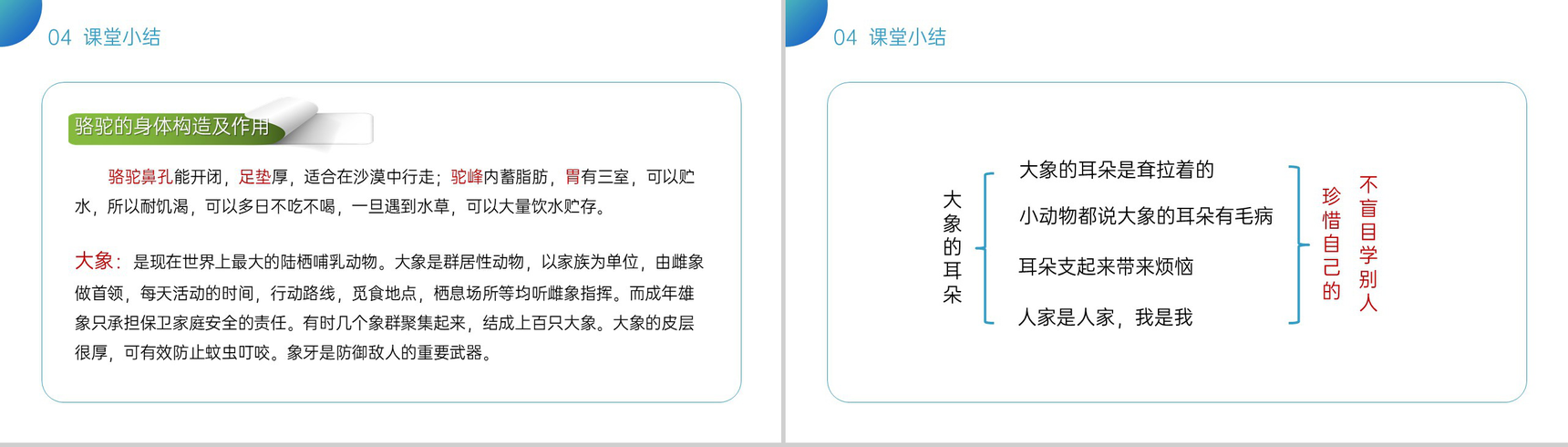 《大象的耳朵》小学二年级语文下册精品PPT课件(第7.1课时)-13