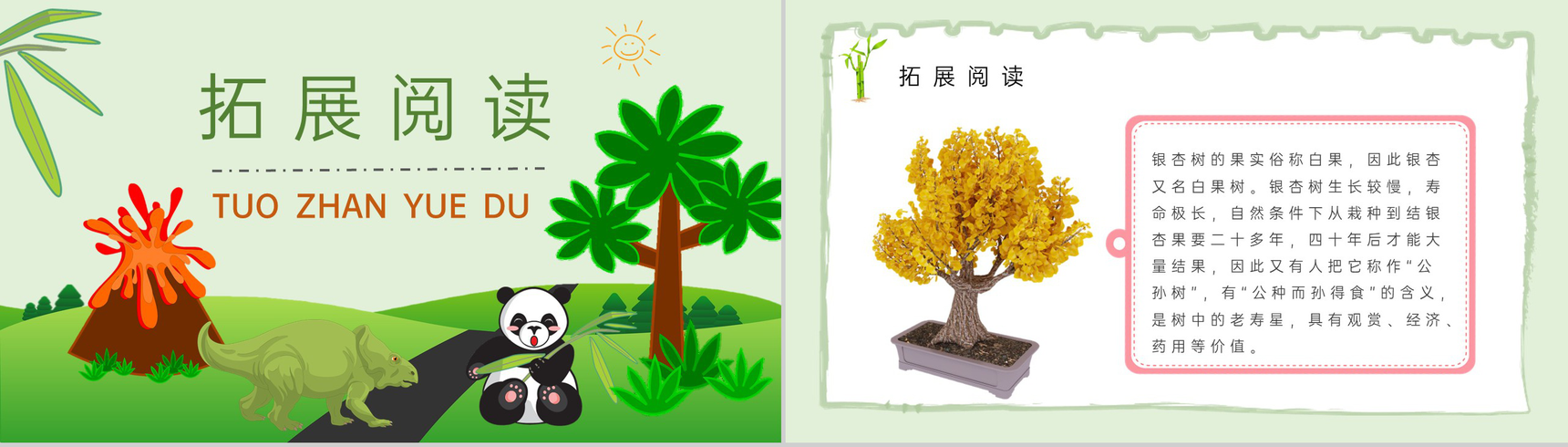 小学语文二年级上册课件课后习题《活化石》教学准备PPT模板-8
