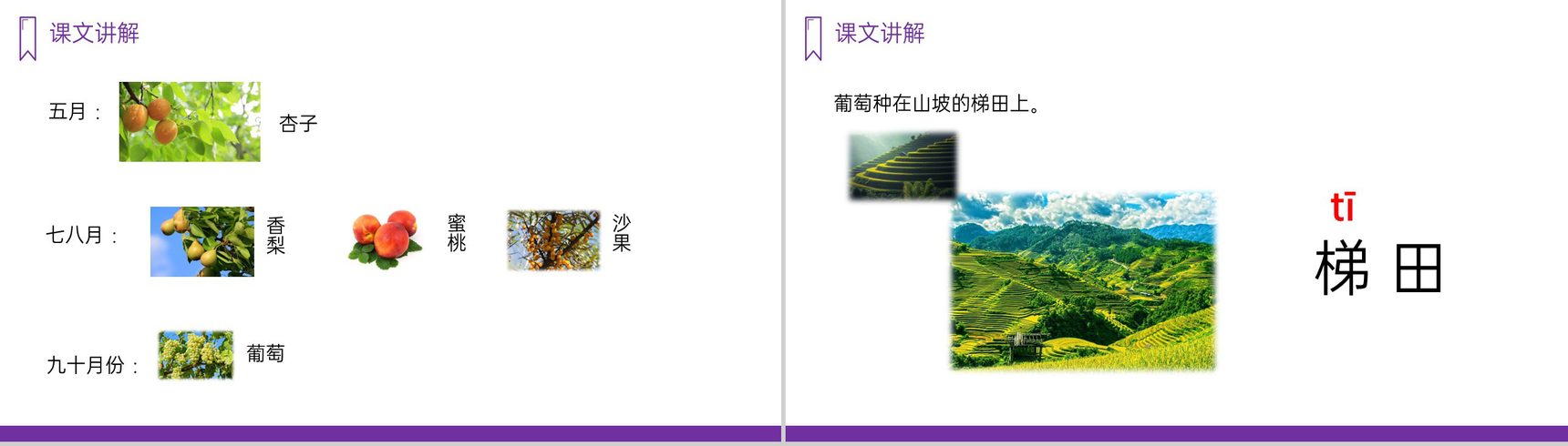 《葡萄沟》人教版二年级上册语文PPT课件-7