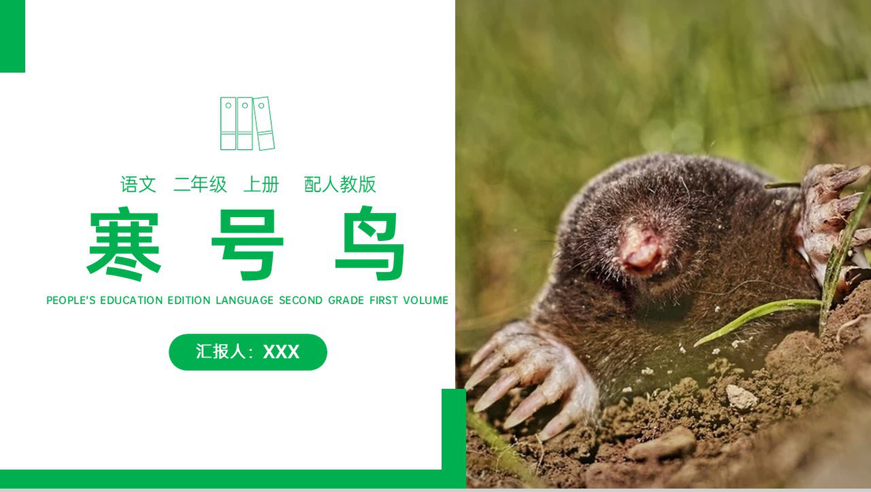 《寒号鸟》人教版二年级上册语文PPT课件-1