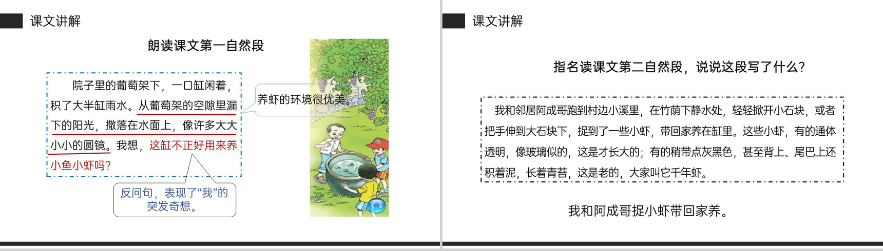 《小虾》小学三年级语文下册第四单元精品PPT课件-6
