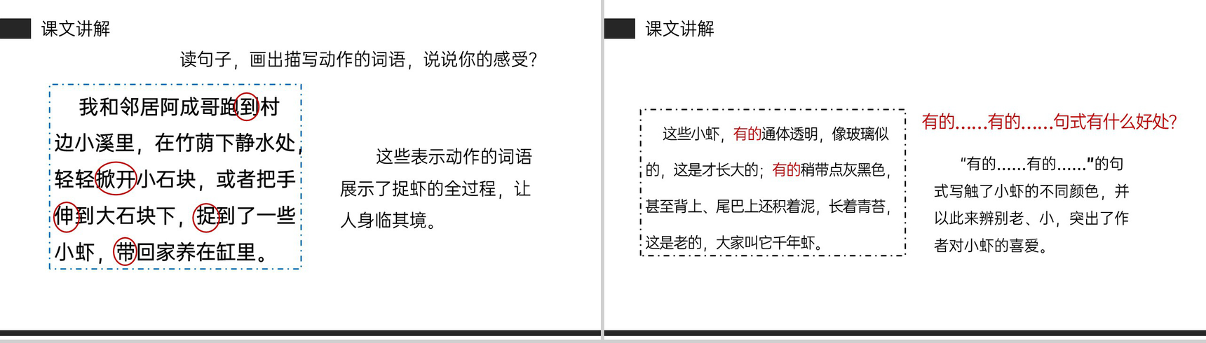 《小虾》小学三年级语文下册第四单元精品PPT课件-7