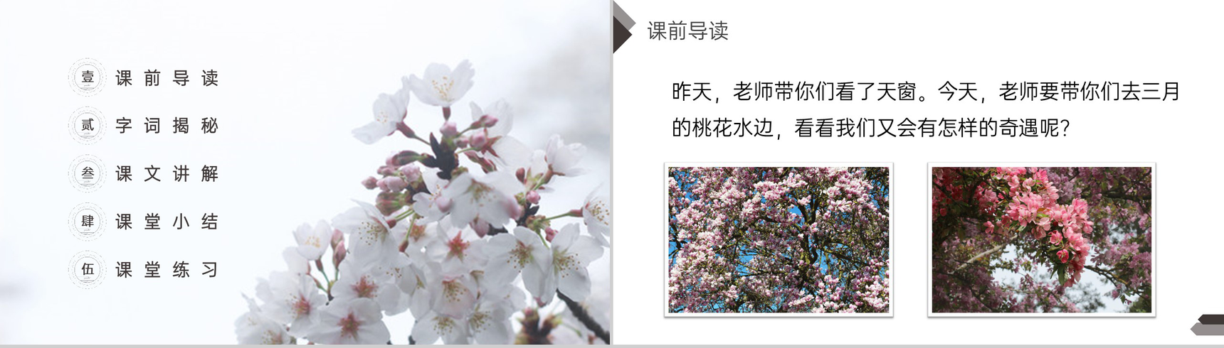 《三月桃花水》人教版四年级语文下册精品PPT课件-2