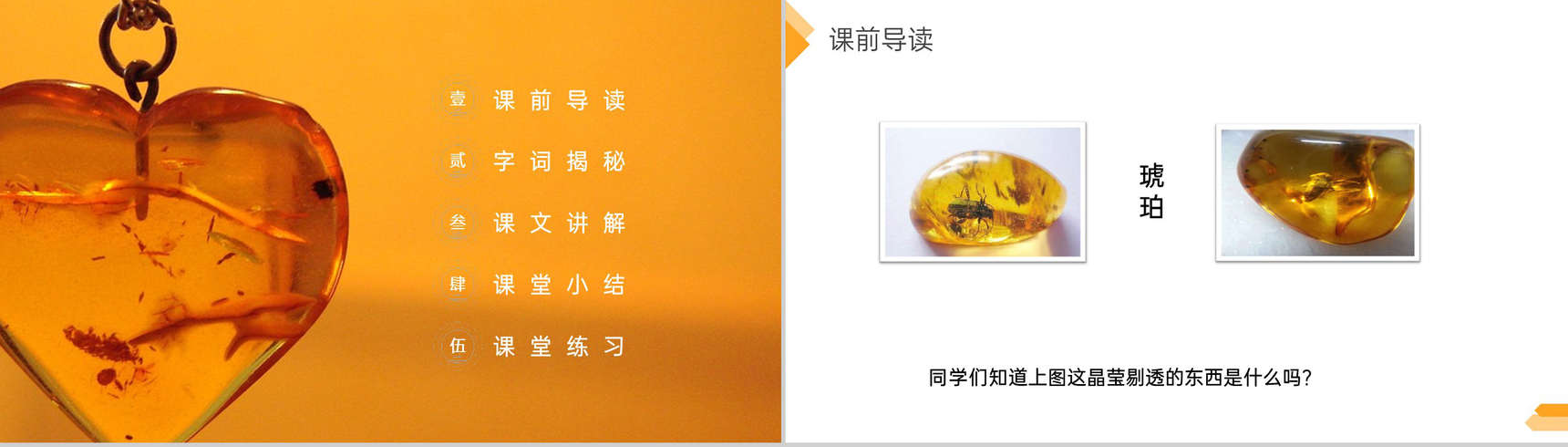 《琥珀》人教版四年级语文下册精品PPT课件-2