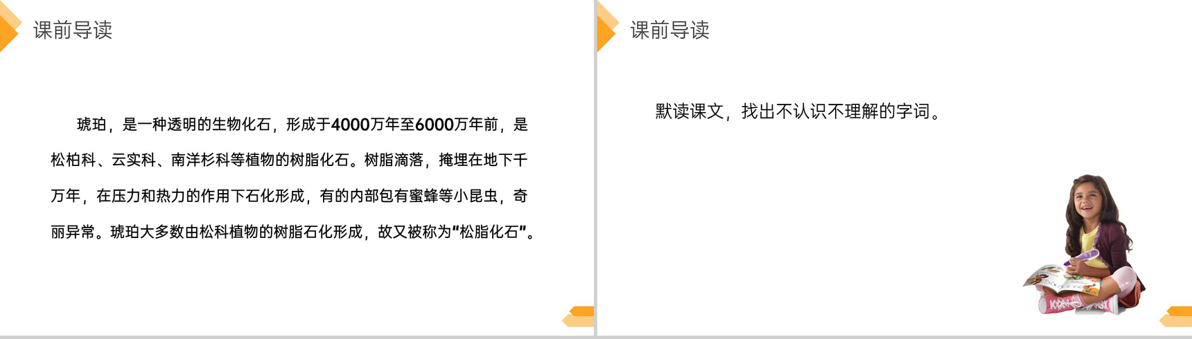 《琥珀》人教版四年级语文下册精品PPT课件-3