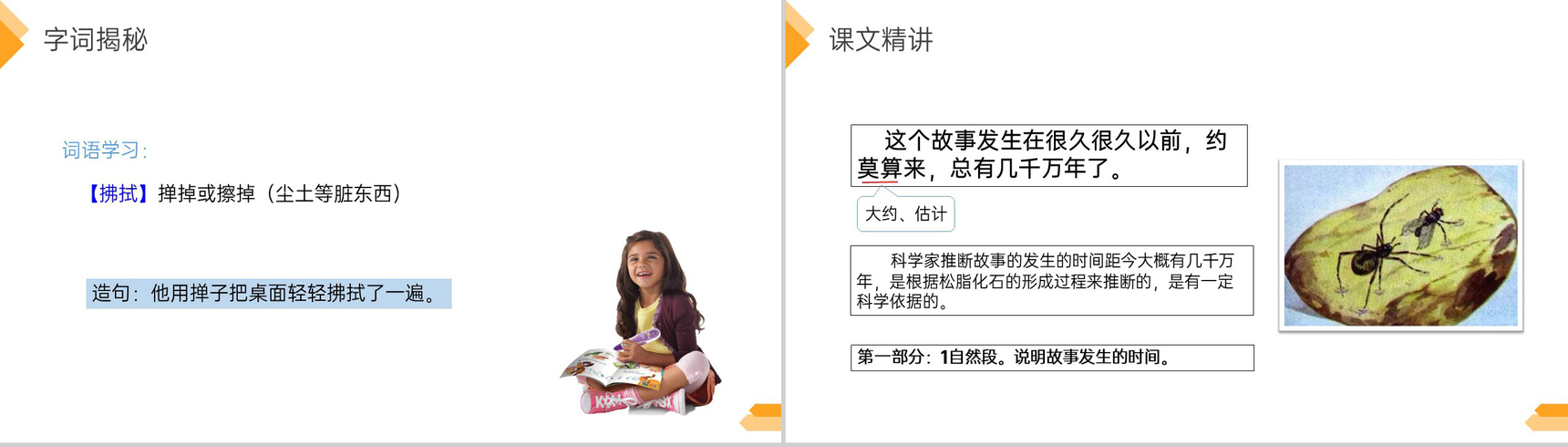 《琥珀》人教版四年级语文下册精品PPT课件-8