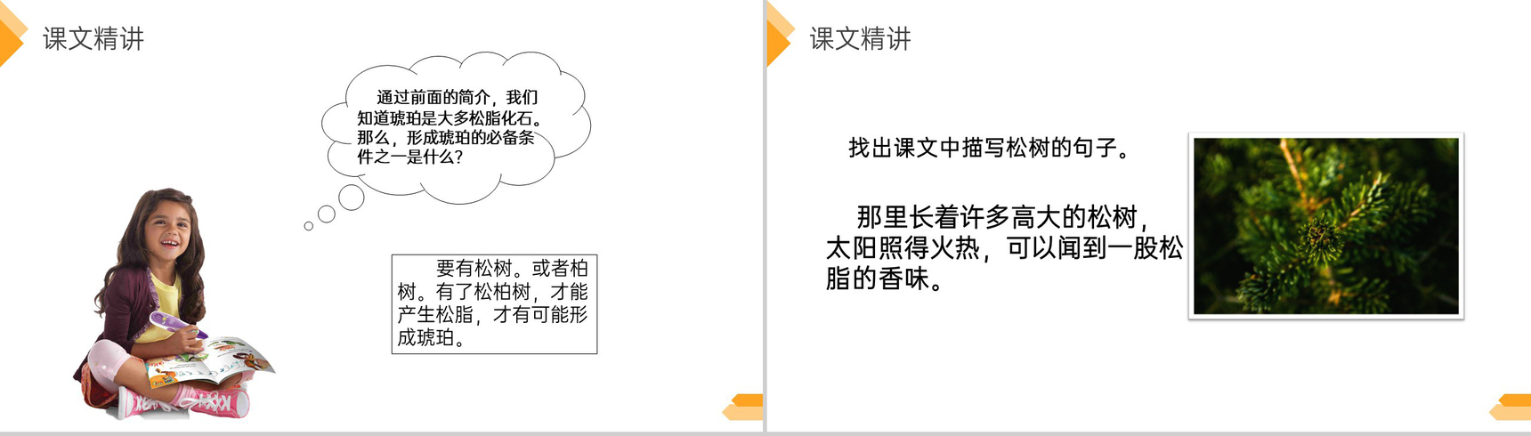 《琥珀》人教版四年级语文下册精品PPT课件-9