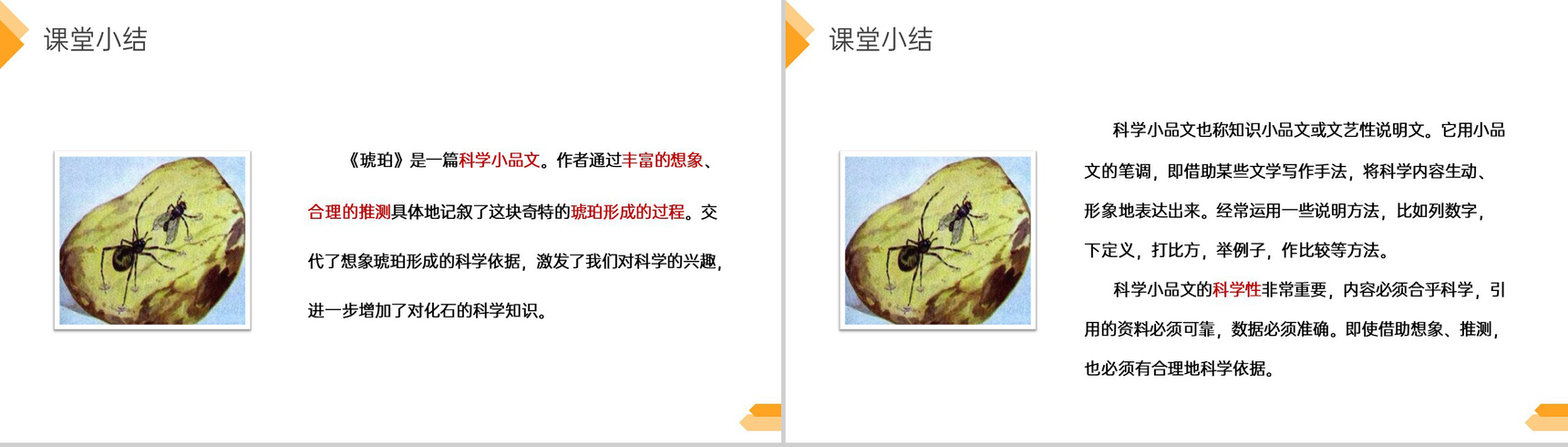 《琥珀》人教版四年级语文下册精品PPT课件-11