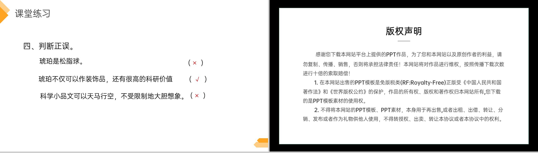 《琥珀》人教版四年级语文下册精品PPT课件-14