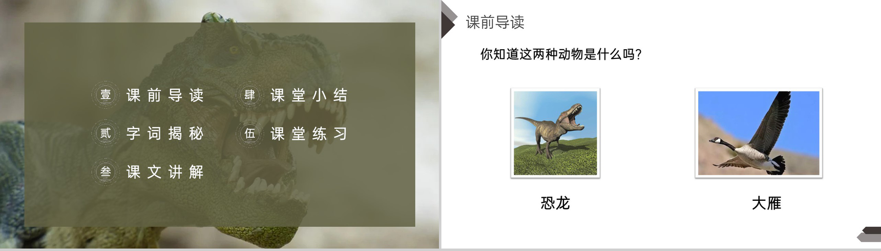 《飞向蓝天的恐龙》人教版四年级语文下册精品PPT课件-2