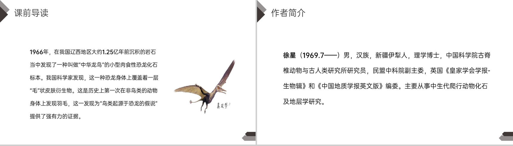 《飞向蓝天的恐龙》人教版四年级语文下册精品PPT课件-3