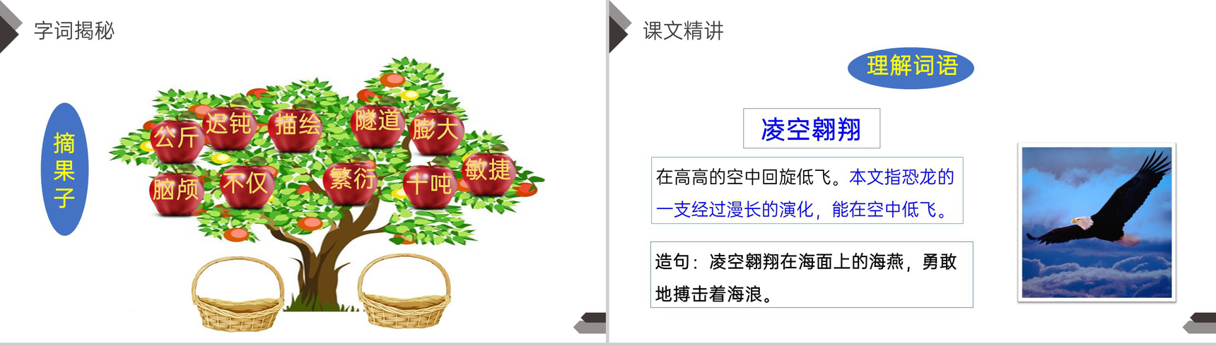 《飞向蓝天的恐龙》人教版四年级语文下册精品PPT课件-8