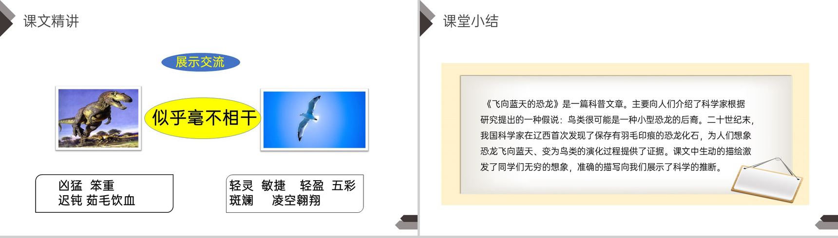 《飞向蓝天的恐龙》人教版四年级语文下册精品PPT课件-11