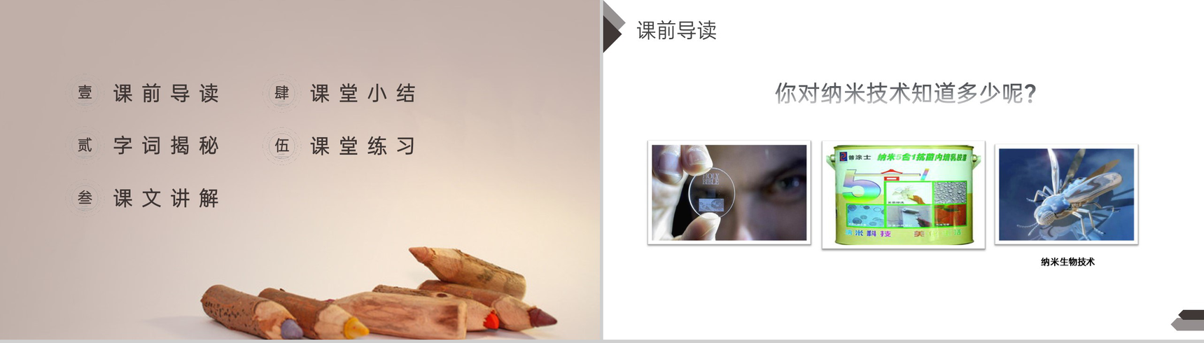 《纳米技术就在身边》人教版四年级语文下册精品PPT课件-2