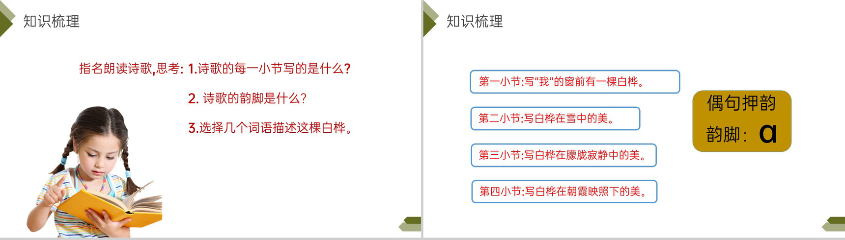 《白桦》人教版四年级语文下册精品PPT课件-9