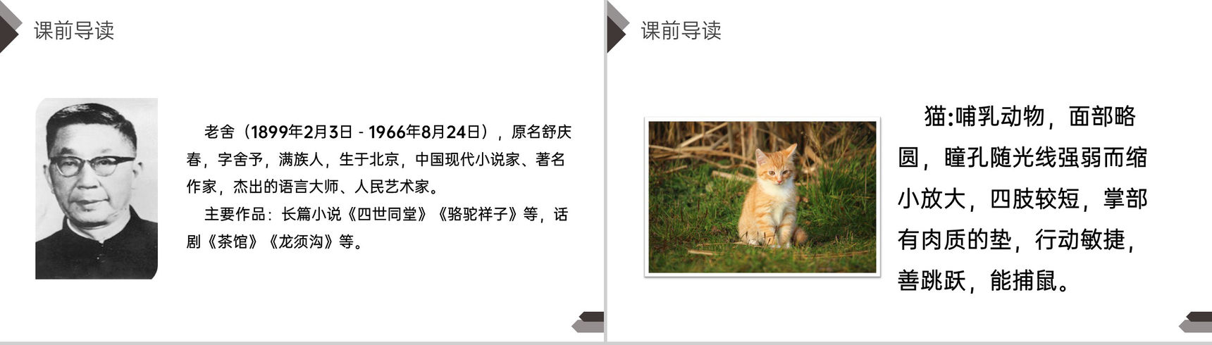 《猫》人教版四年级语文下册精品PPT课件-3