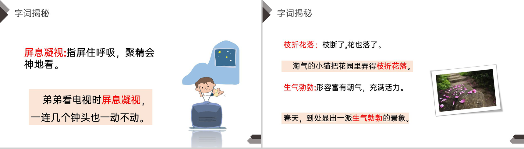 《猫》人教版四年级语文下册精品PPT课件-9