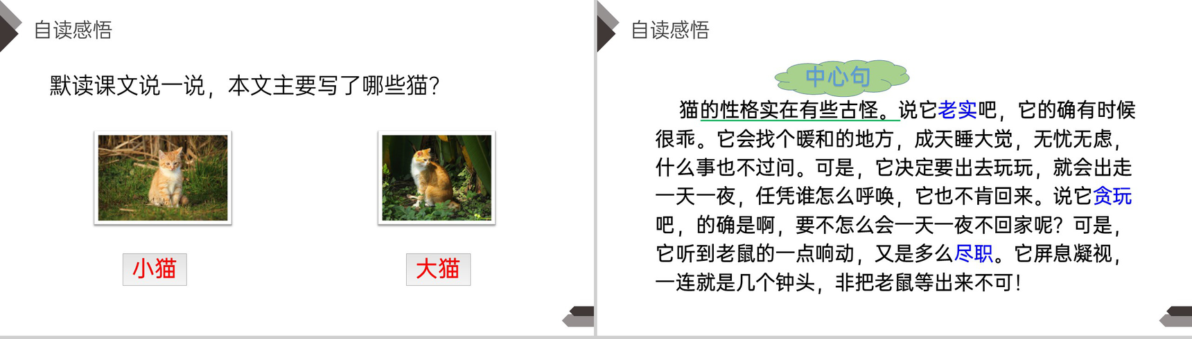 《猫》人教版四年级语文下册精品PPT课件-10