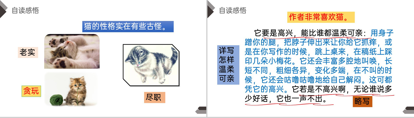 《猫》人教版四年级语文下册精品PPT课件-11