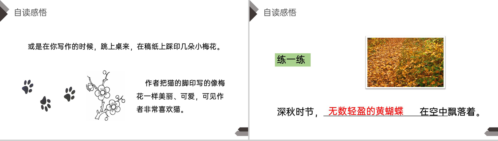 《猫》人教版四年级语文下册精品PPT课件-12