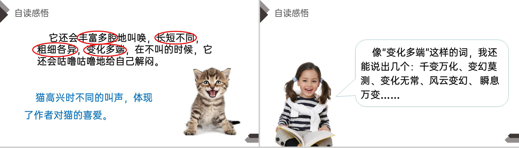 《猫》人教版四年级语文下册精品PPT课件-13